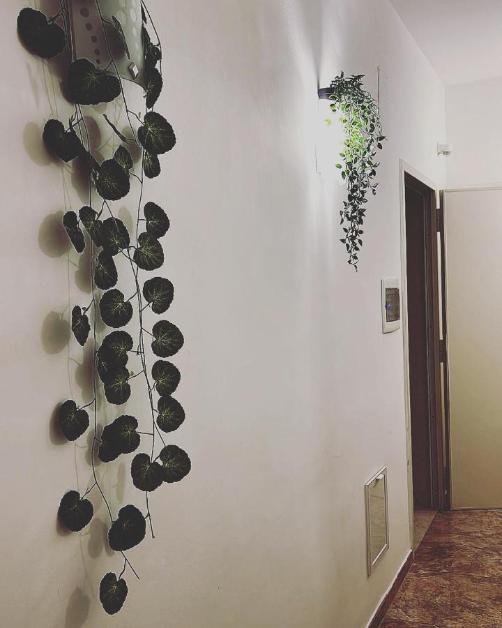 Esperanto B&B Bari Exterior photo